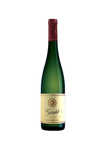 "Gottesfuss" Alte Reben" Riesling trocken GG