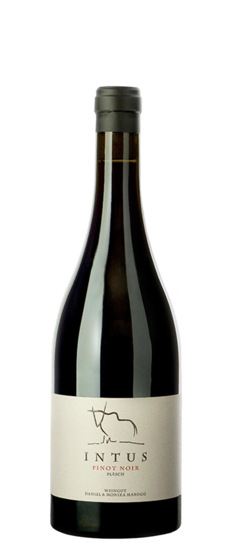 Intus Pinot Noir